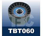 Belt tensioner bearings